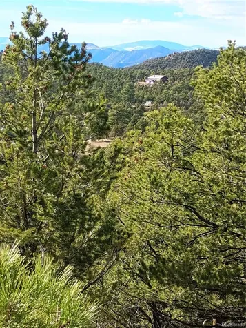 1105 Owens Lane Cotopaxi CO 81223