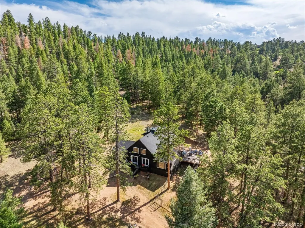 986 Apache Road Florissant CO 80816