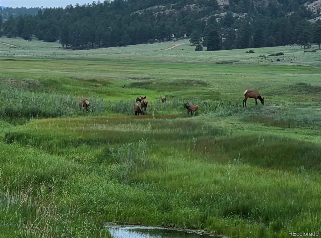 986 Apache Road Florissant CO 80816