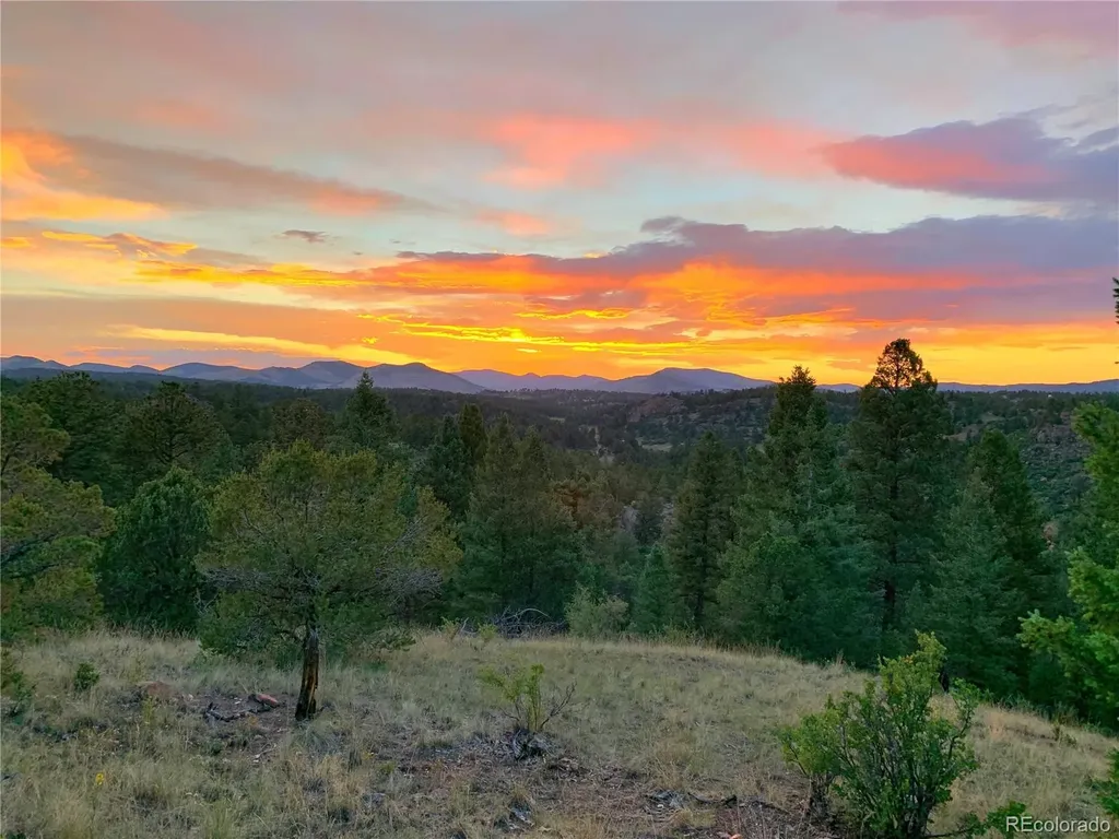 986 Apache Road Florissant CO 80816