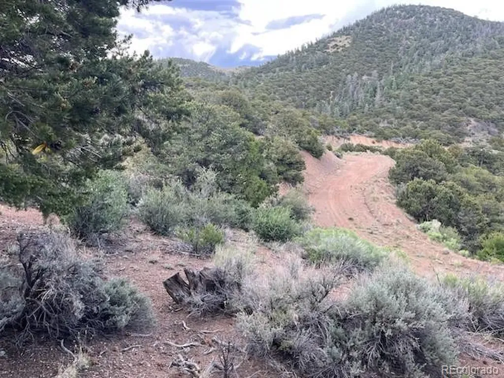 Lot 5056 France Aimee Road Fort Garland CO 81133