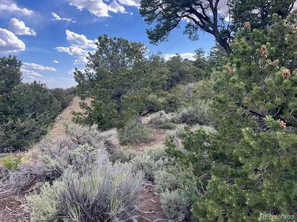 Lot 5056 France Aimee Road Fort Garland CO 81133