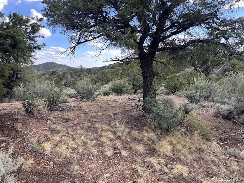 Lot 5056 France Aimee Road Fort Garland CO 81133
