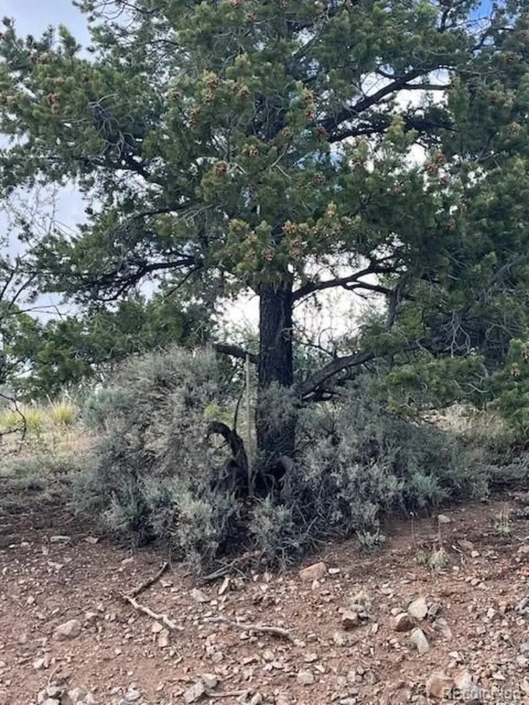 Lot 5056 France Aimee Road Fort Garland CO 81133
