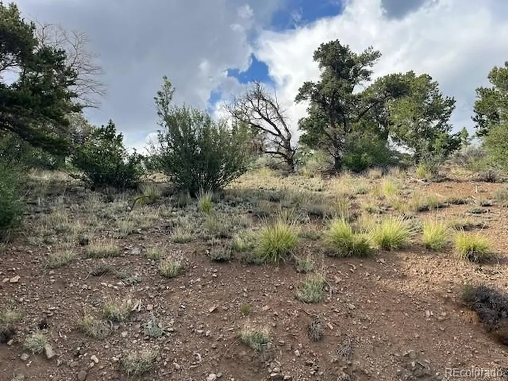 Lot 5056 France Aimee Road Fort Garland CO 81133