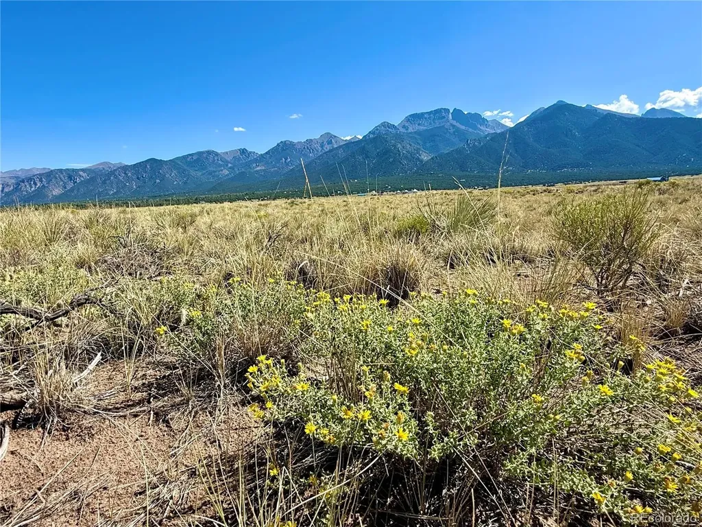 94 N Wanderlust Trail Crestone CO 81131