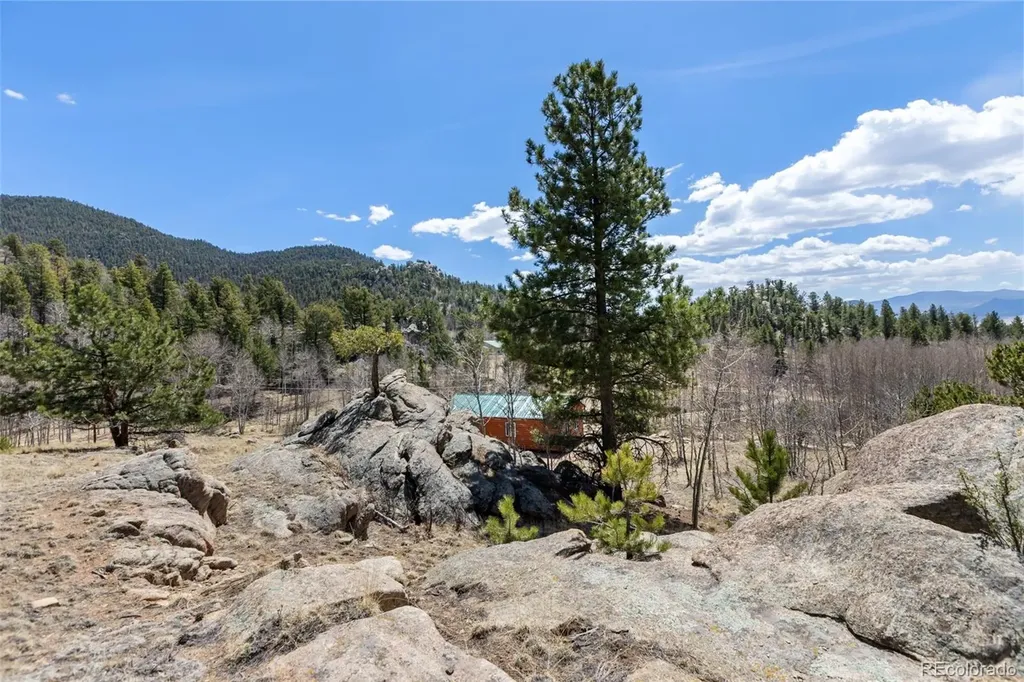 61 Garnet Lane Lake George CO 80827