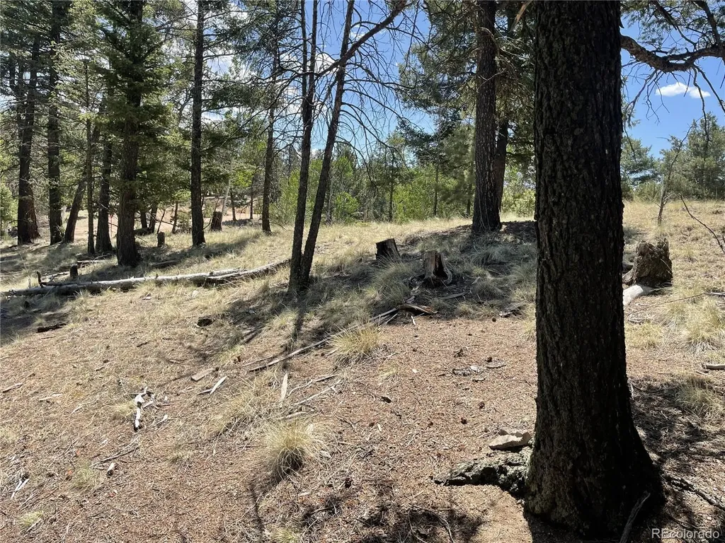 971 Spring Valley Lane Florissant CO 80816