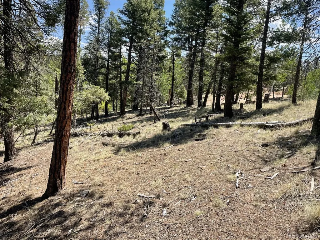 971 Spring Valley Lane Florissant CO 80816