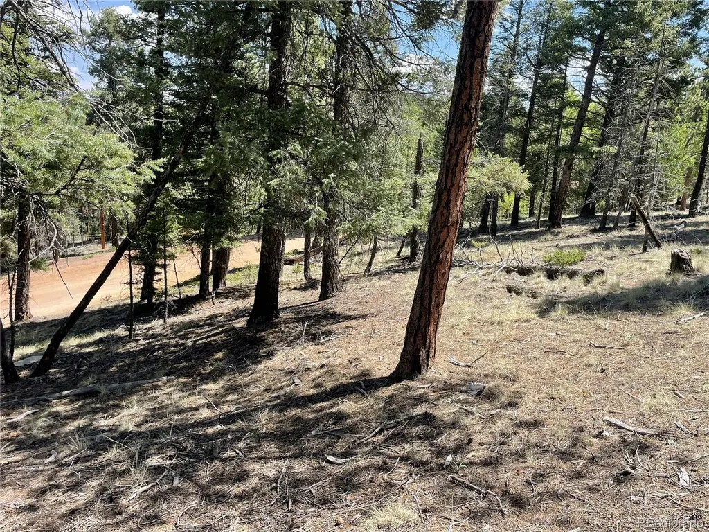 971 Spring Valley Lane Florissant CO 80816