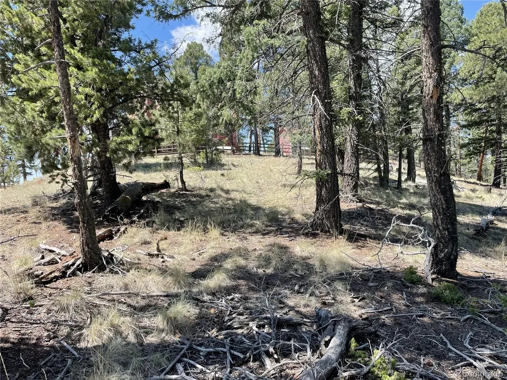 971 Spring Valley Lane Florissant CO 80816