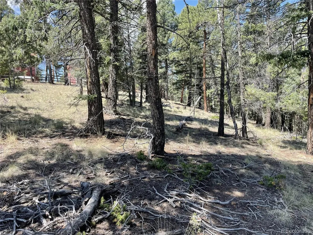 971 Spring Valley Lane Florissant CO 80816