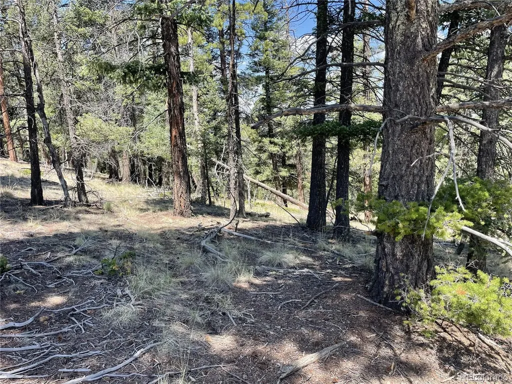 971 Spring Valley Lane Florissant CO 80816