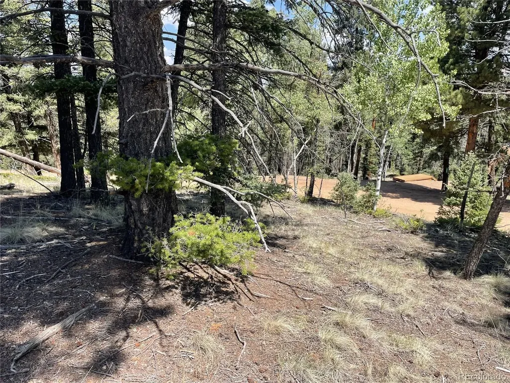 971 Spring Valley Lane Florissant CO 80816