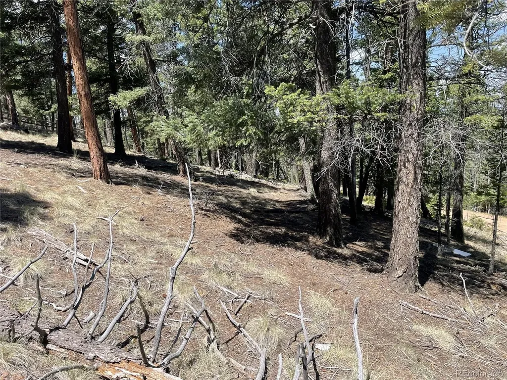 971 Spring Valley Lane Florissant CO 80816