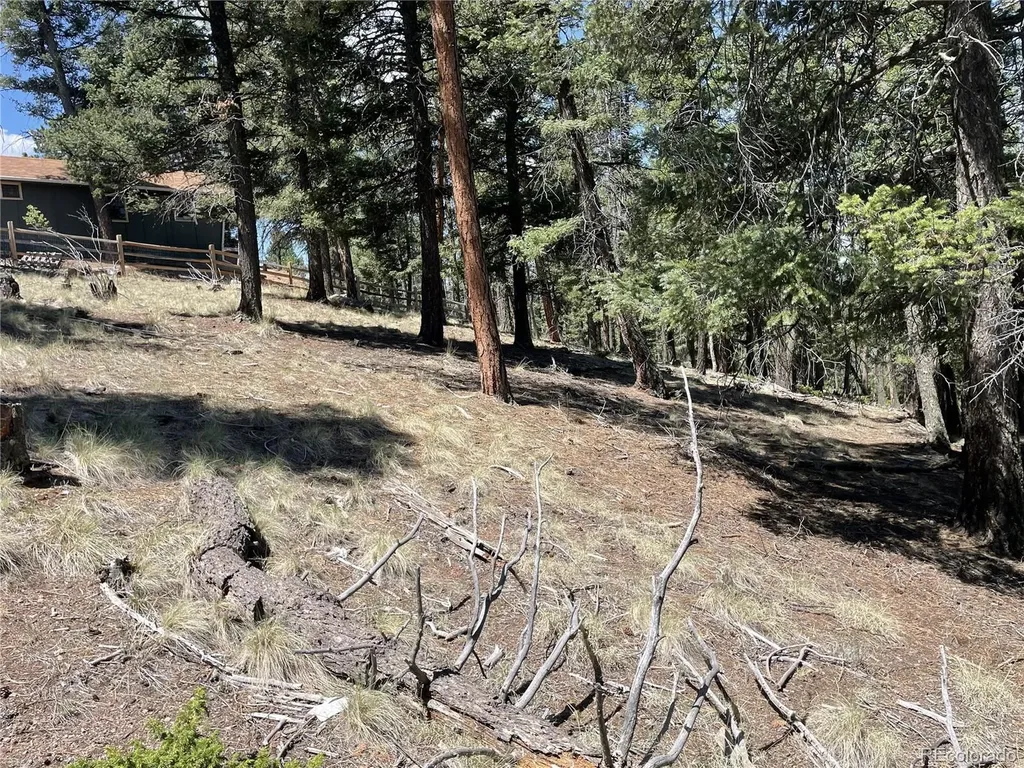971 Spring Valley Lane Florissant CO 80816