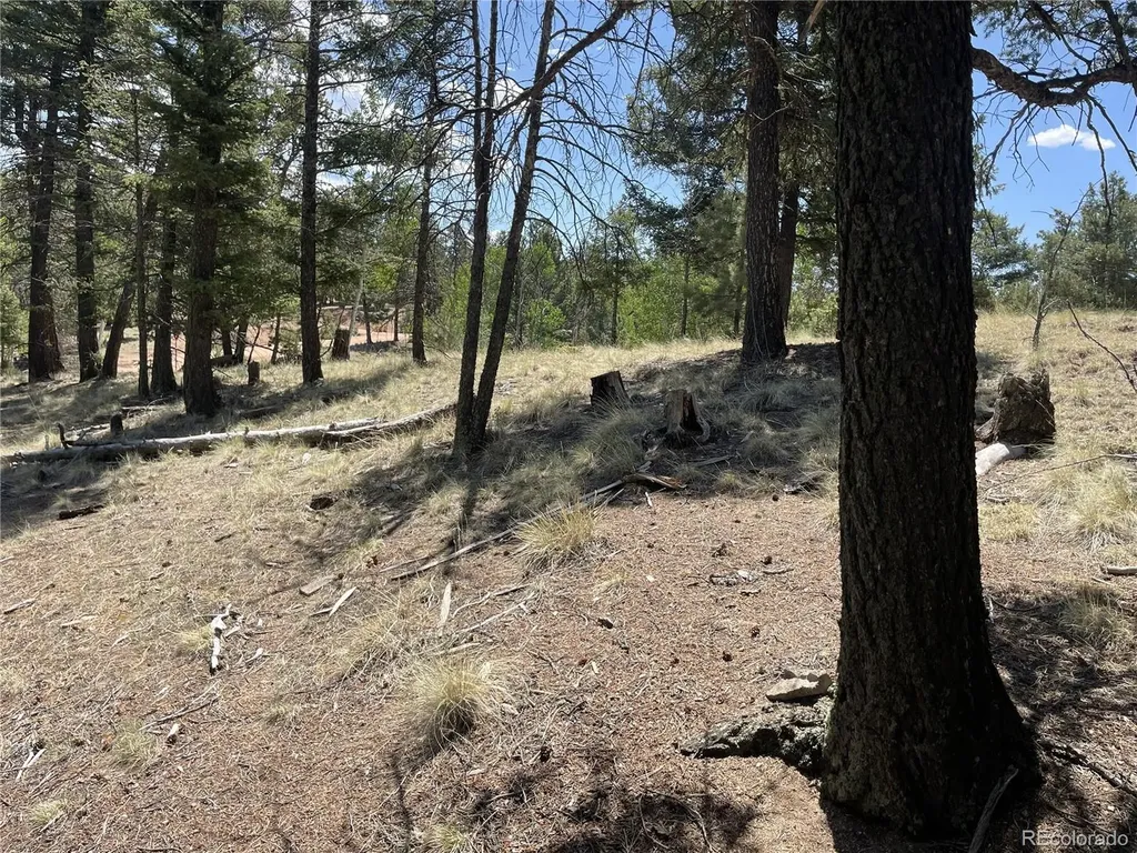 971 Spring Valley Lane Florissant CO 80816