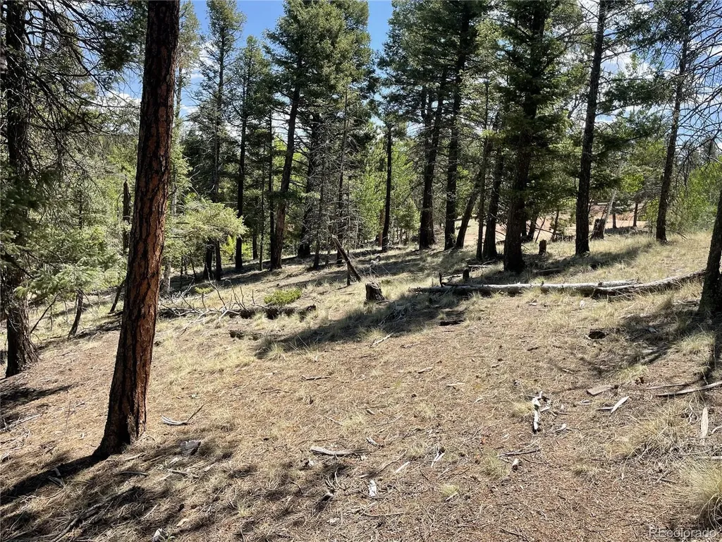 971 Spring Valley Lane Florissant CO 80816