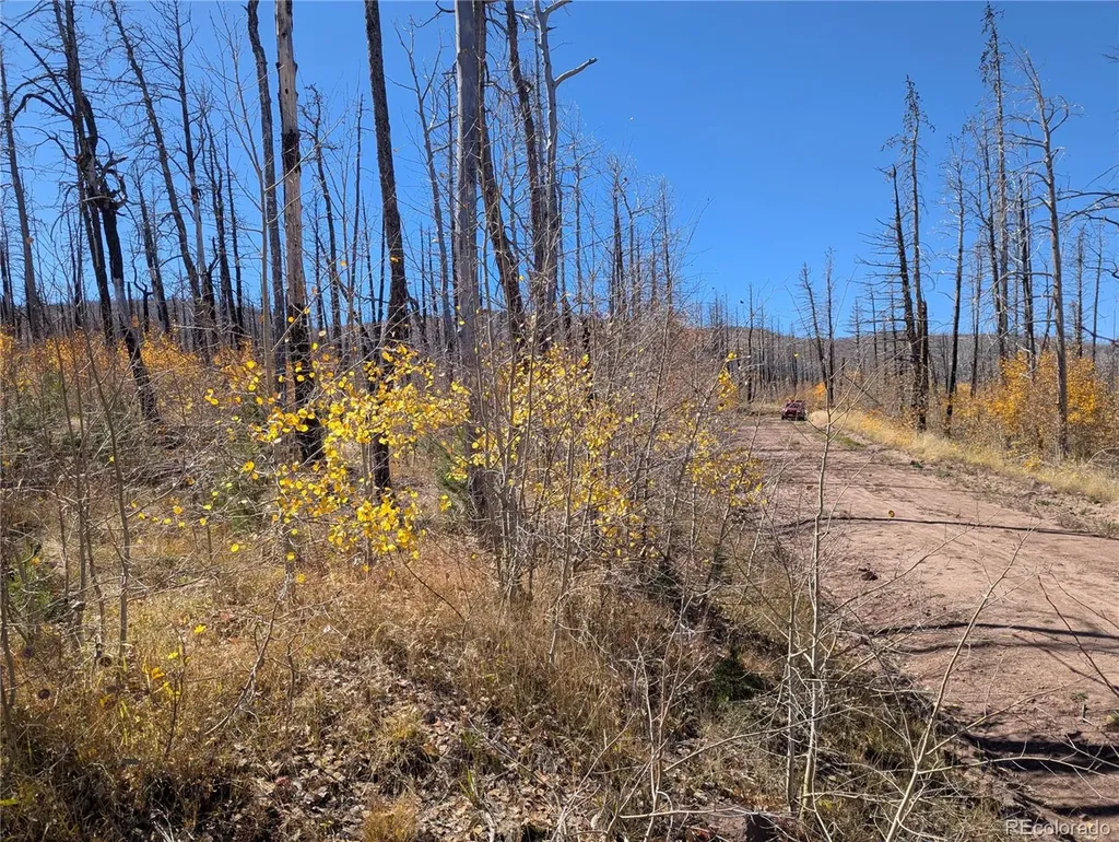 1708 Burgoyne Loop Fort Garland CO 81133