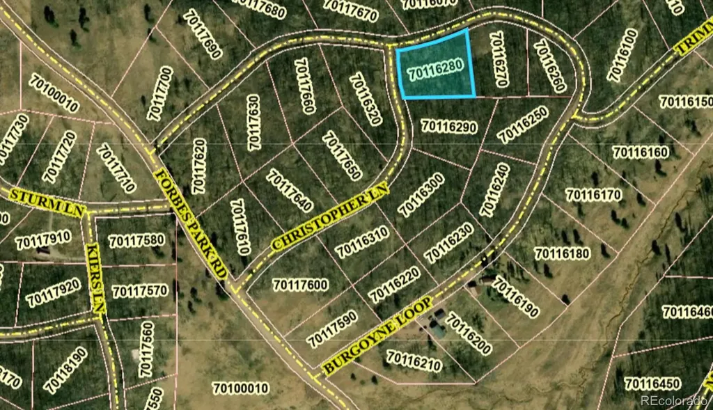 1708 Burgoyne Loop Fort Garland CO 81133