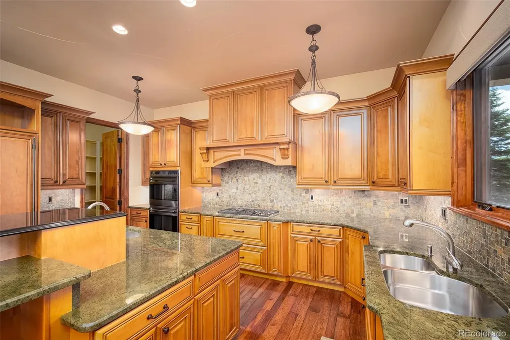 9677 Sara Gulch Circle Parker CO 80138