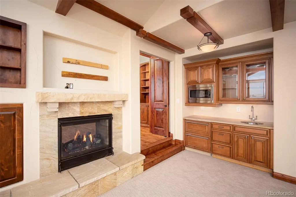 9677 Sara Gulch Circle Parker CO 80138