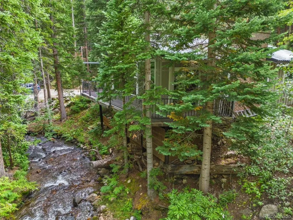 14 Moss Dumont CO 80436