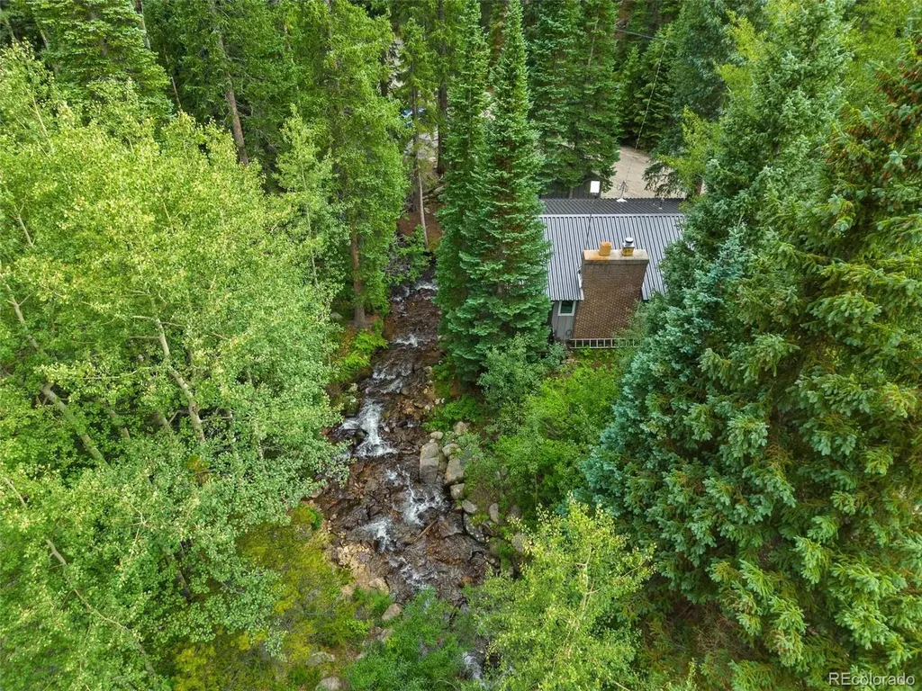 14 Moss Dumont CO 80436