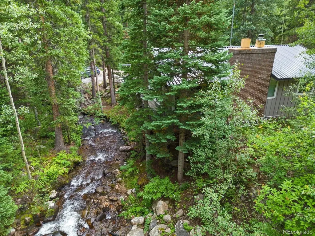 14 Moss Dumont CO 80436