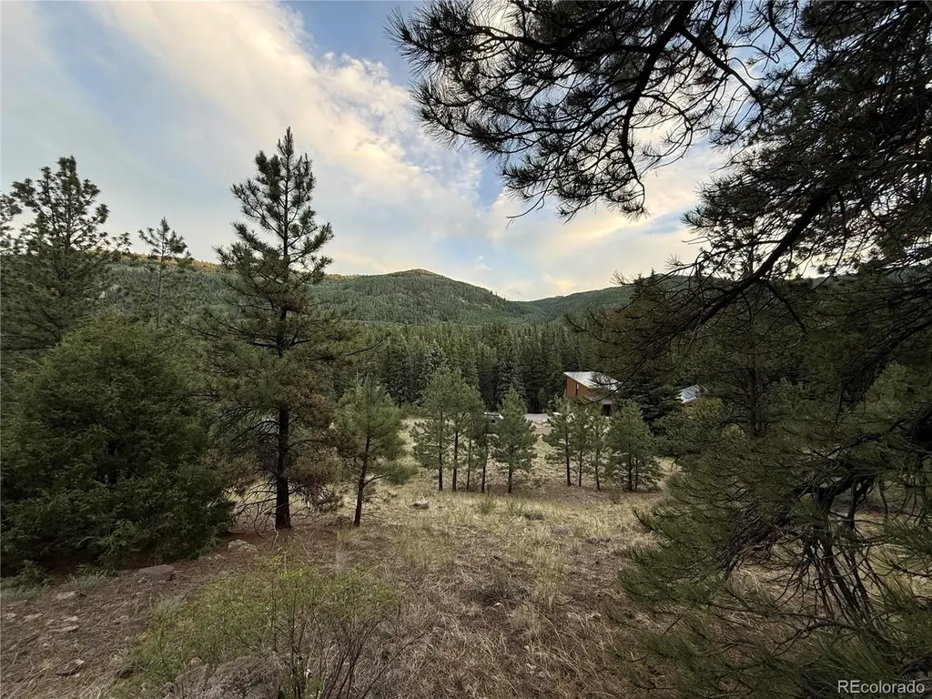 2 Beaver Trail Antonito CO 81120