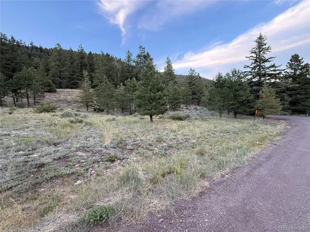2 Beaver Trail Antonito CO 81120