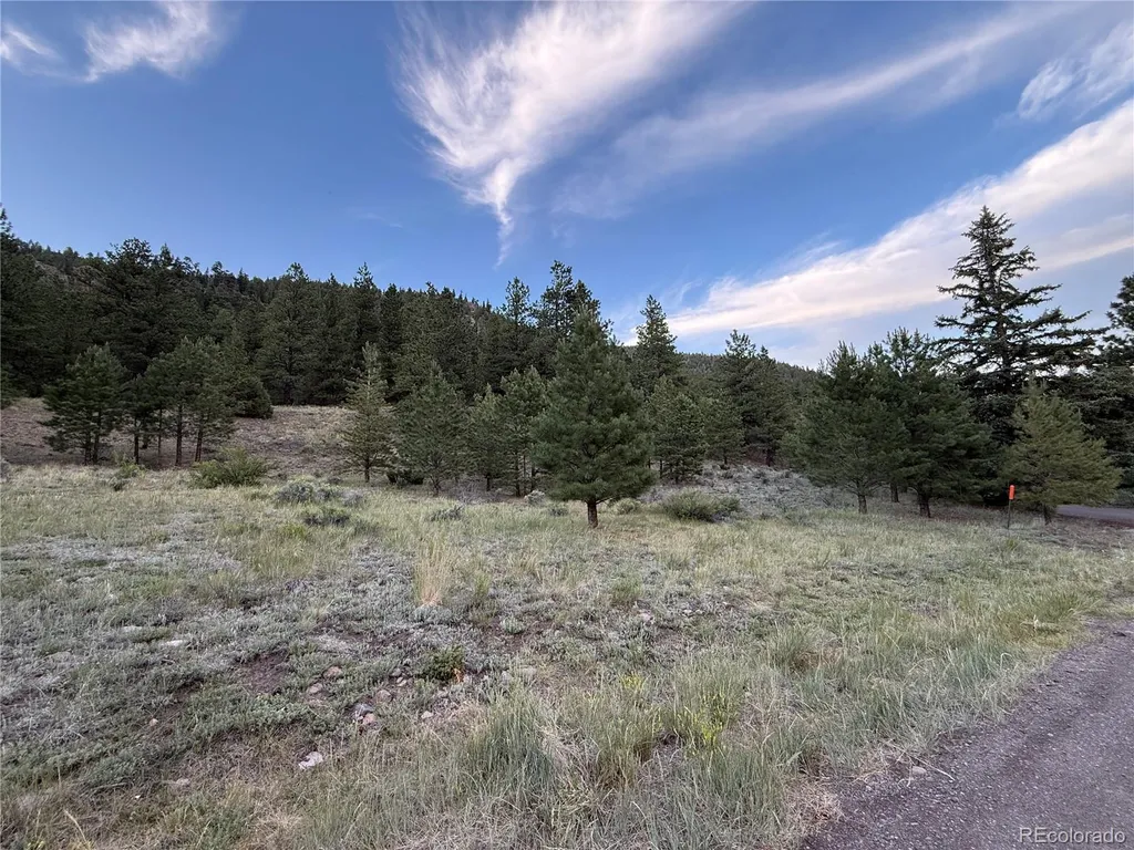 2 Beaver Trail Antonito CO 81120