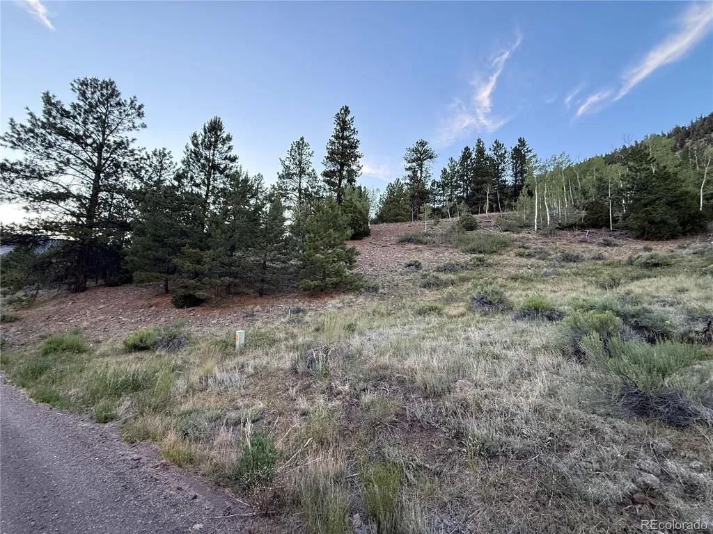 2 Beaver Trail Antonito CO 81120
