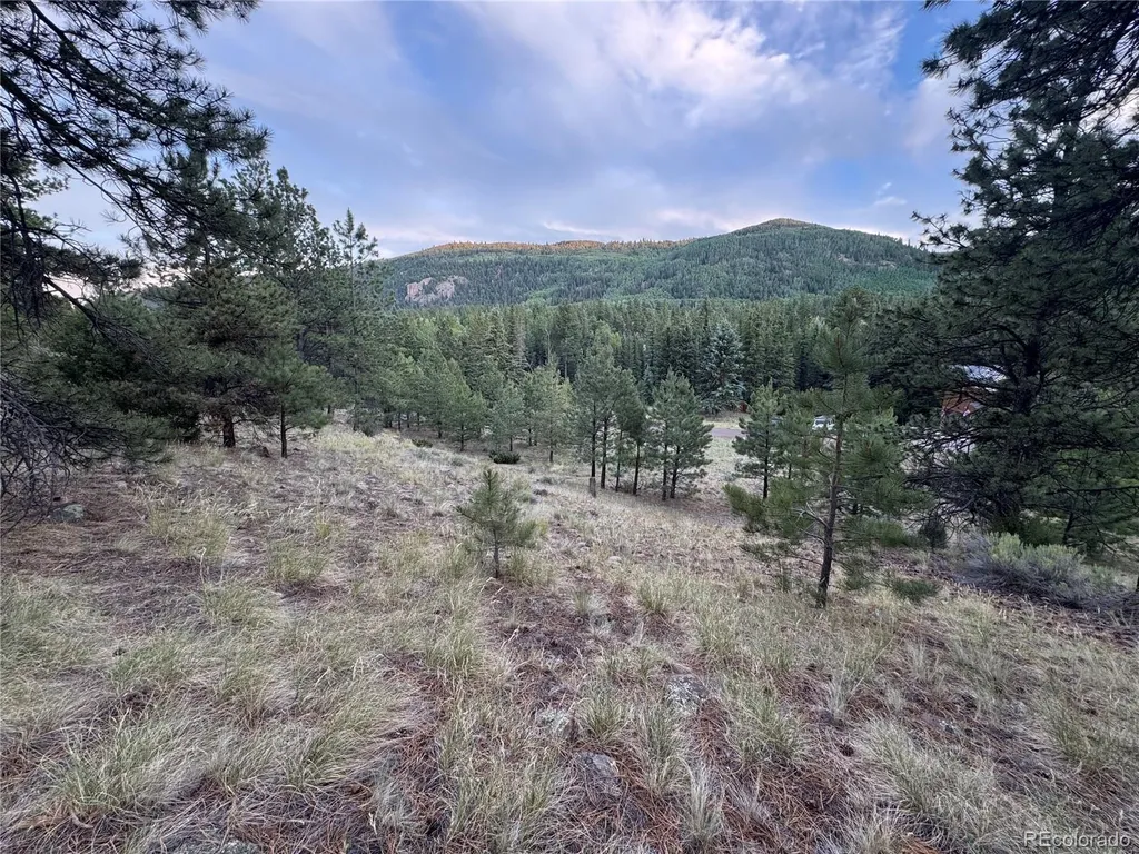 2 Beaver Trail Antonito CO 81120