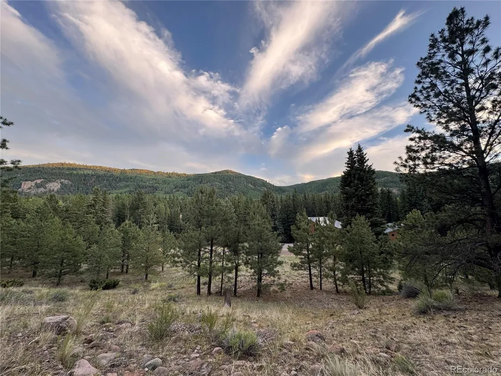 2 Beaver Trail Antonito CO 81120