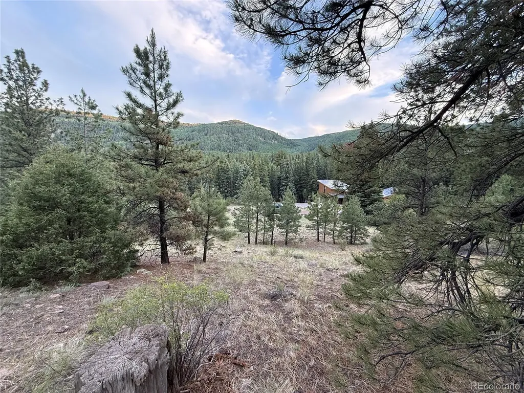 2 Beaver Trail Antonito CO 81120
