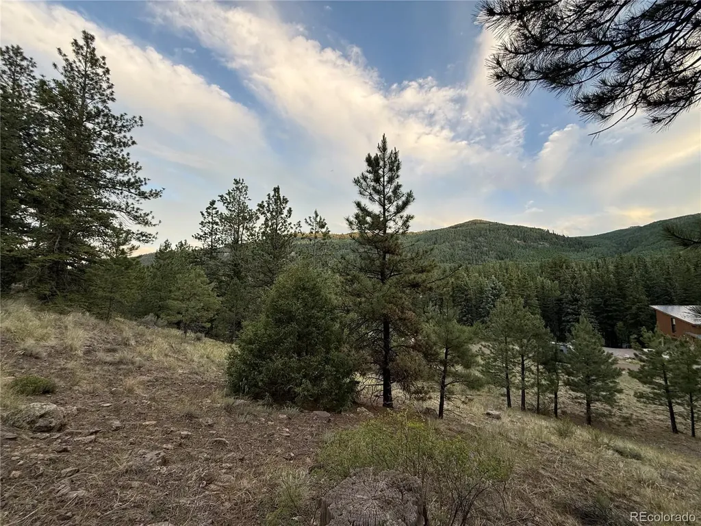 2 Beaver Trail Antonito CO 81120