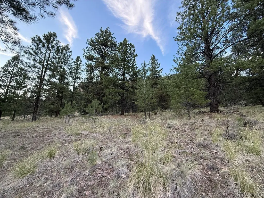 2 Beaver Trail Antonito CO 81120