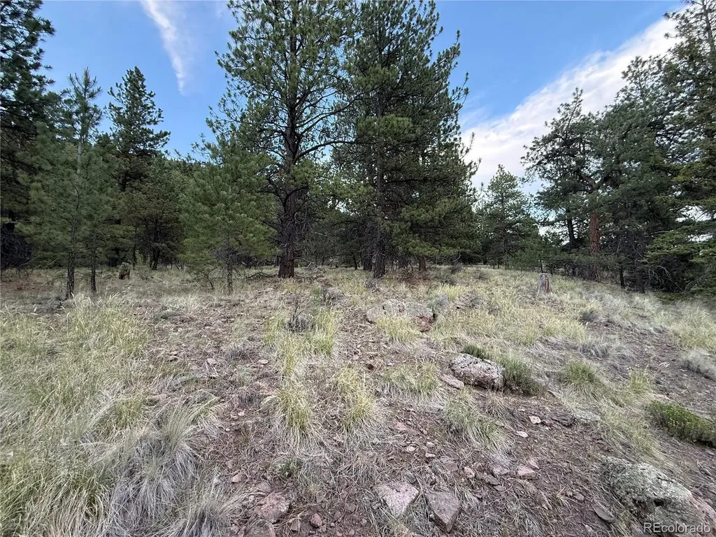 2 Beaver Trail Antonito CO 81120