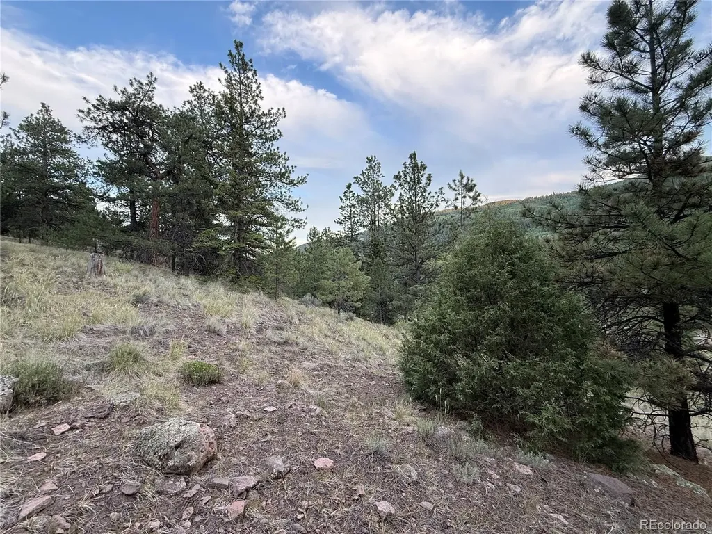 2 Beaver Trail Antonito CO 81120