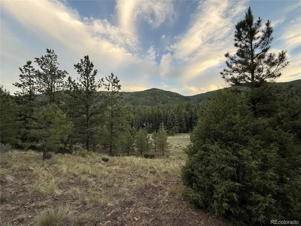 2 Beaver Trail Antonito CO 81120