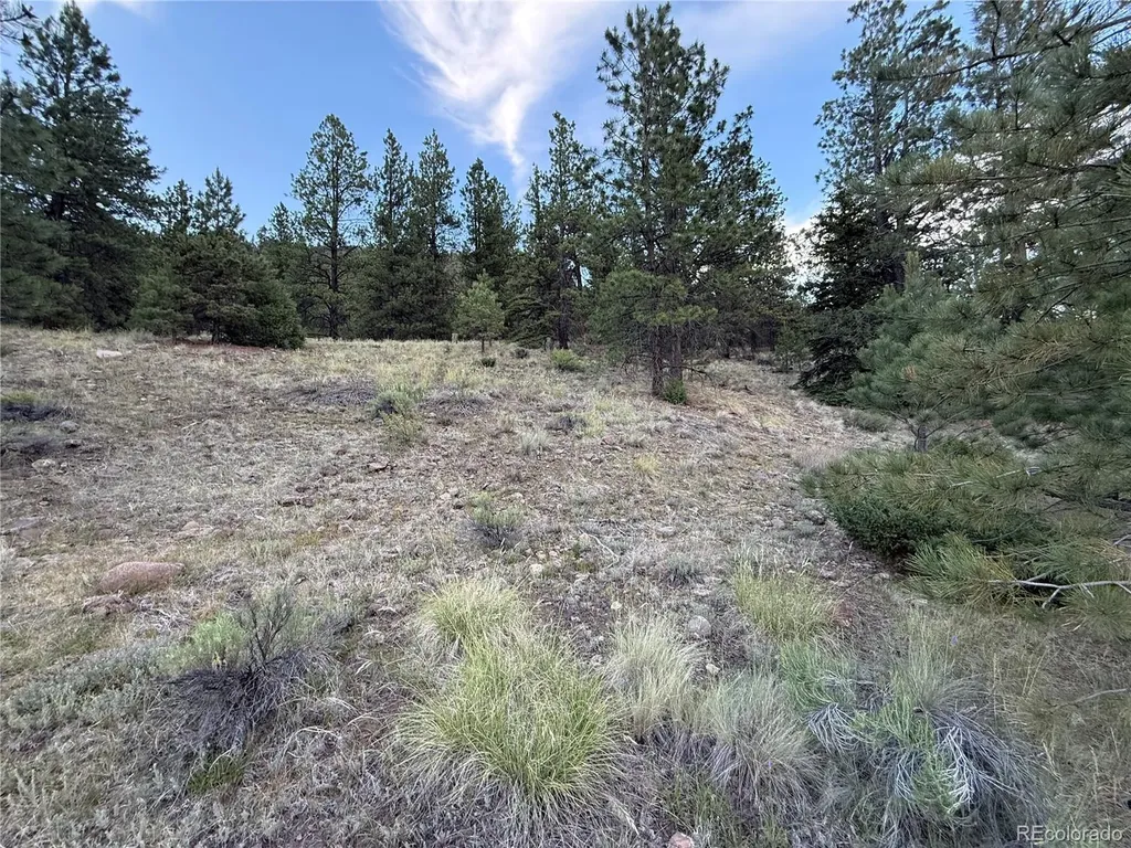 2 Beaver Trail Antonito CO 81120