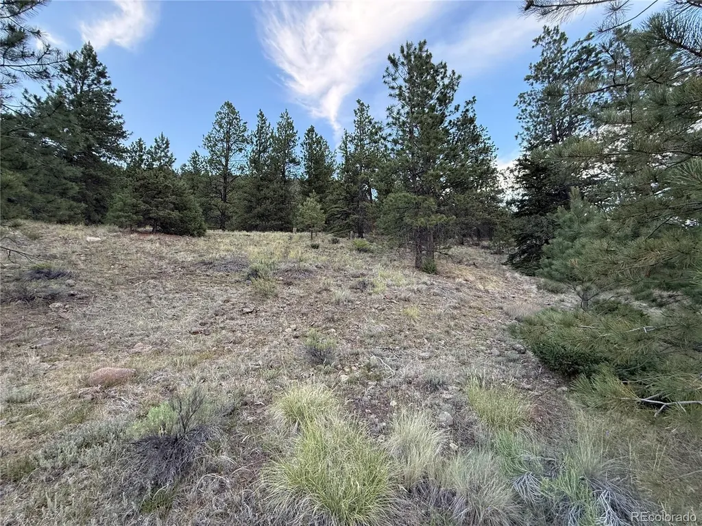 2 Beaver Trail Antonito CO 81120