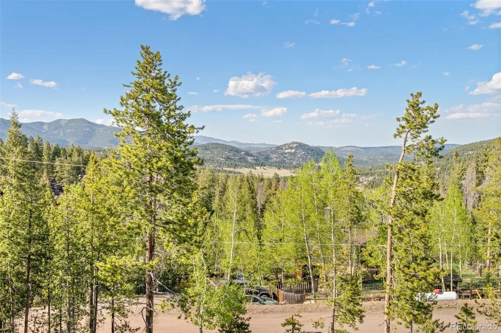 6783 Snowshoe Trail Evergreen CO 80439