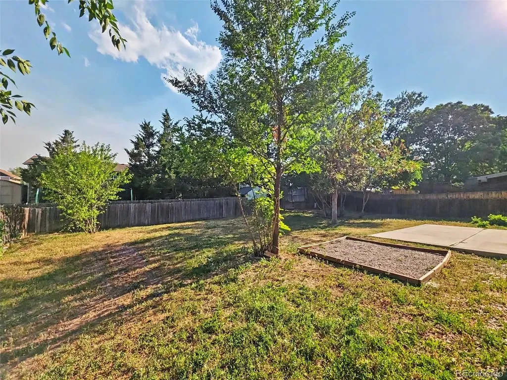 115 Olympus Circle Lone Tree CO 80124