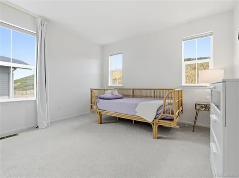 33 Felicity Loop Castle Rock CO 80109
