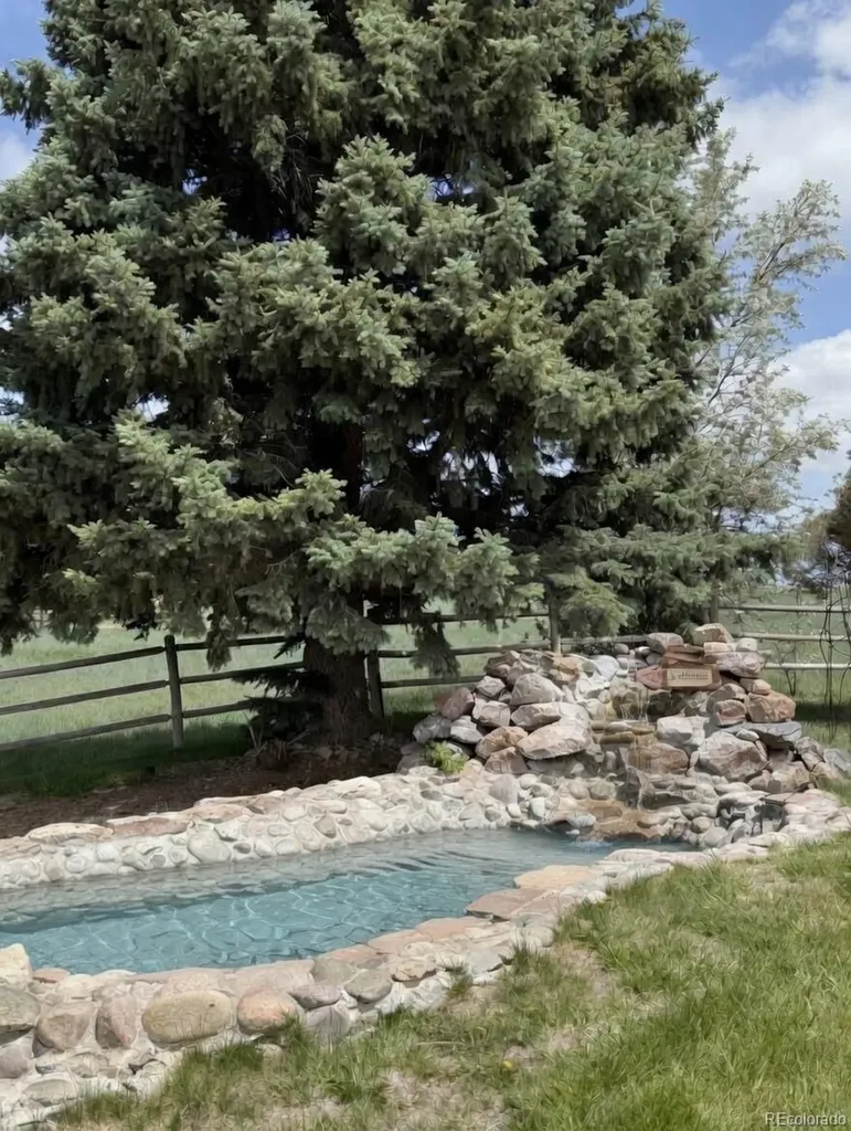 13786 Travois Trail Parker CO 80138