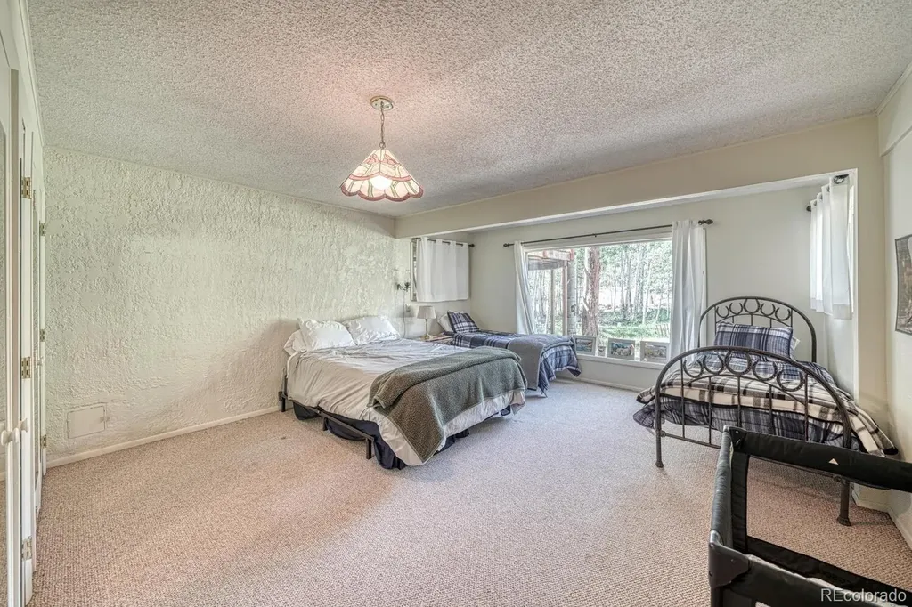 18480 Ponderosa Buena Vista CO 81211