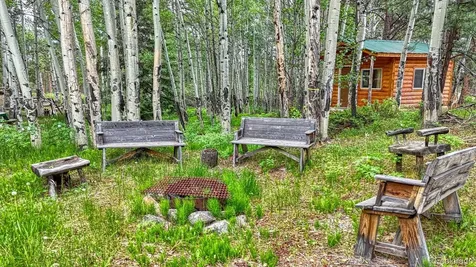 18480 Ponderosa Buena Vista CO 81211