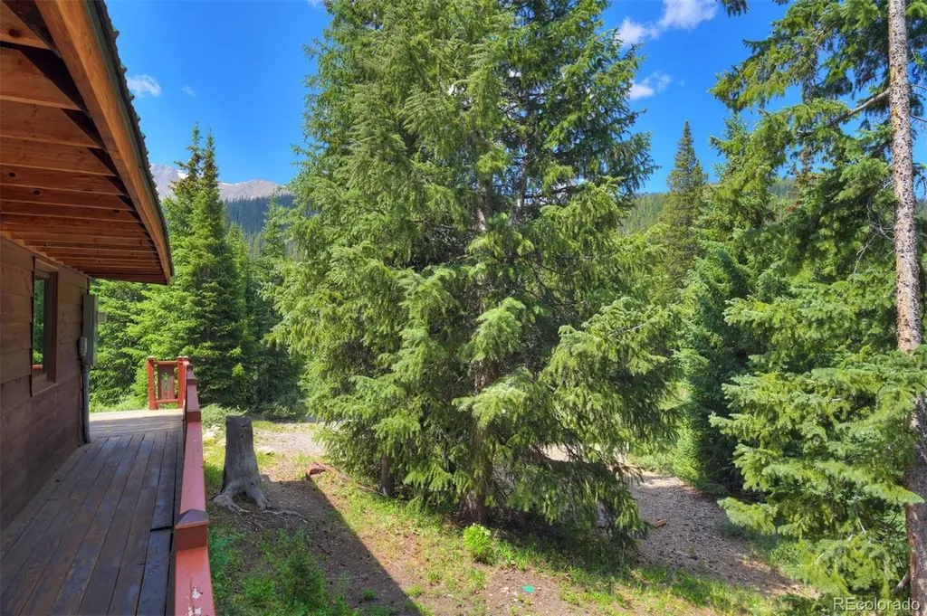 5621 French Gulch Road Breckenridge CO 80424